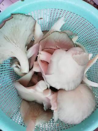 瘦肉平菇面的做法步骤：2