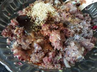 驴肉蒸饺的做法步骤:6