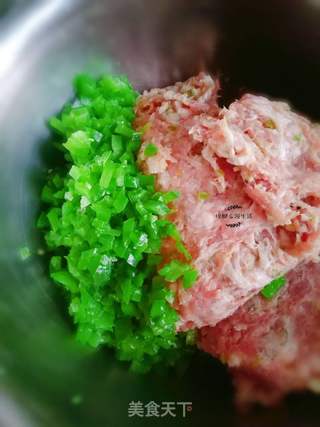 鲜嫩多汁儿的饺子的做法步骤:4
