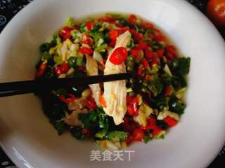 #团圆饭#手撕椒麻鸡的做法步骤:13