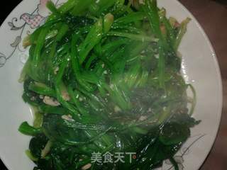 #团圆饭#肉末菠菜的做法步骤：10