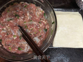 银鱼肉馄饨的做法步骤:5