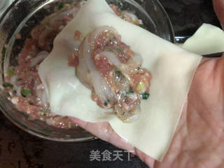 银鱼肉馄饨的做法步骤:6