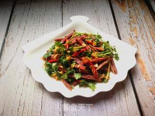 #团圆饭#香菜拌牛肉的做法步骤:10