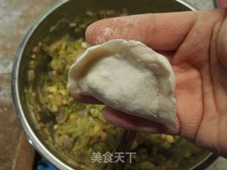 西葫芦虾仁蒸饺的做法步骤:12
