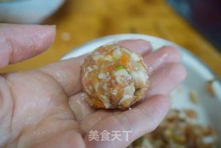 黄金肉丸的做法步骤：3