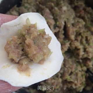 羊肉饺子的做法步骤：8
