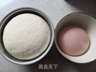 小猪豆沙包的做法步骤:6