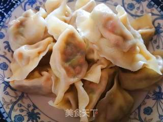 《角瓜素馅水饺》的做法步骤:9