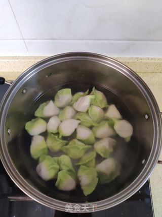 翡翠白菜饺的做法步骤:15