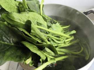 菠菜虾皮拌粉丝的做法步骤:2