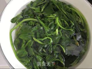 菠菜虾皮拌粉丝的做法步骤:4