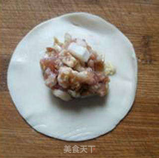 娃娃菜鸡棕菌肉馅饺子的做法步骤:11