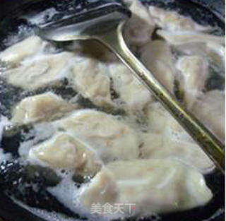 娃娃菜鸡棕菌肉馅饺子的做法步骤:13