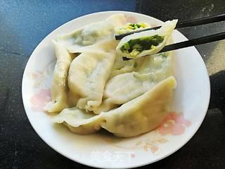 韭菜鸡蛋馅水饺的做法步骤:9