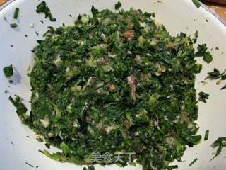 翡翠白菜饺子的做法步骤:5