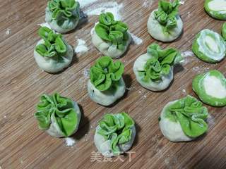 翡翠白菜饺子的做法步骤:10