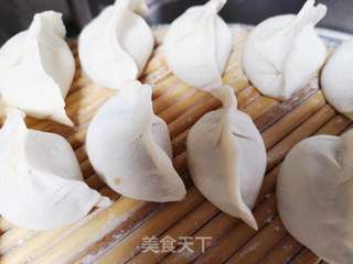 牛肉大葱馅饺子的做法步骤:6