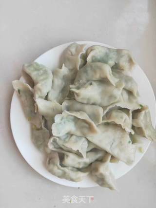 韭菜鸡蛋水饺的做法步骤:6