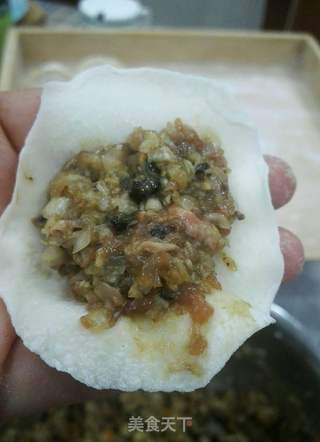 猪肉麻蛤饺子的做法步骤:15