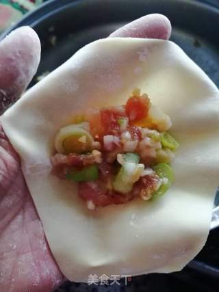 大葱猪肉馄饨的做法步骤:6