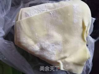 大葱猪肉馄饨的做法步骤:5