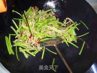 香辣肉丝的做法步骤：17