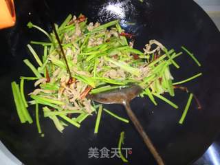 香辣肉丝的做法步骤:17
