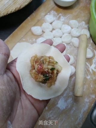 葫芦瓜饺子的做法步骤:9