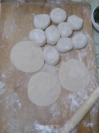 芸豆猪肉包子的做法步骤:4
