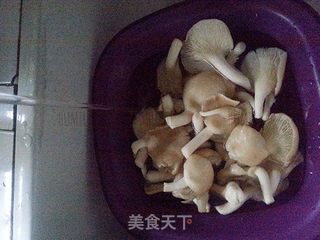 凉拌平菇的做法步骤:2