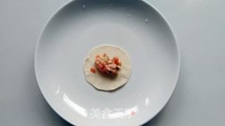 鲜肉蒸饺的做法步骤:7