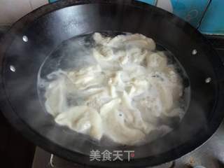黄芽白水饺的做法步骤:8