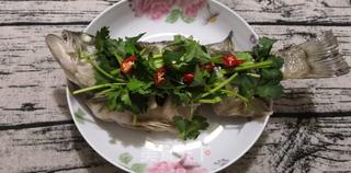 清蒸鲈鱼(蒸箱版)的做法步骤:9