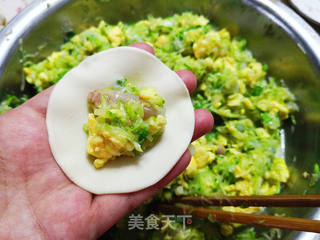 角瓜虾仁水饺的做法步骤:6