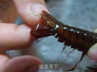 香辣小龙虾的做法步骤:4