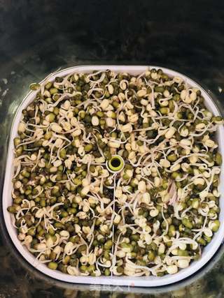 凉拌绿豆芽菜的做法步骤：1