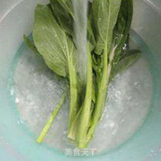 鲜蘑菇油菜蕻鸭肝羹的做法步骤:4