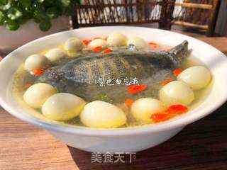 清炖甲鱼汤的做法步骤:9