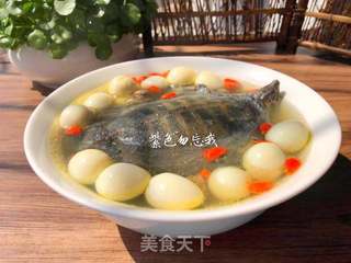 清炖甲鱼汤的做法步骤:10