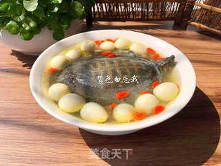 清炖甲鱼汤的做法步骤:11