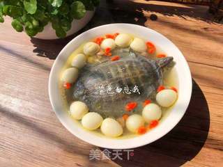 清炖甲鱼汤的做法步骤:12