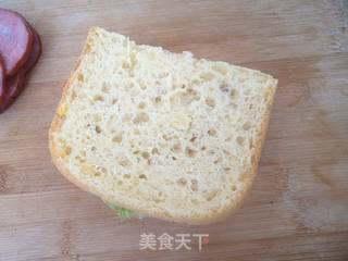 鸡蛋火腿三明治的做法步骤:10