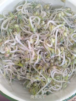 炝豆芽的做法步骤:2