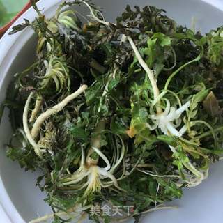 蒜末拌荠菜的做法步骤：2