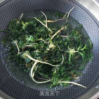 蒜末拌荠菜的做法步骤：4