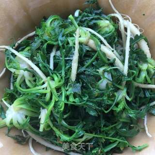 蒜末拌荠菜的做法步骤：6