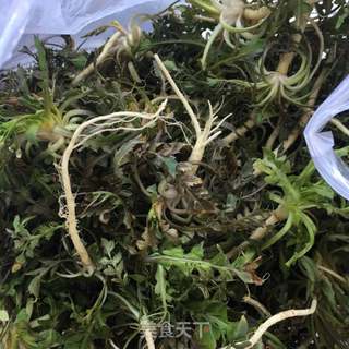 蒜末拌荠菜的做法步骤：1