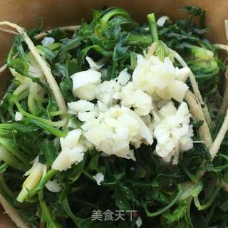 蒜末拌荠菜的做法步骤：8