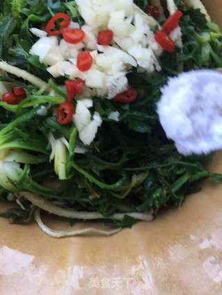 蒜末拌荠菜的做法步骤：12